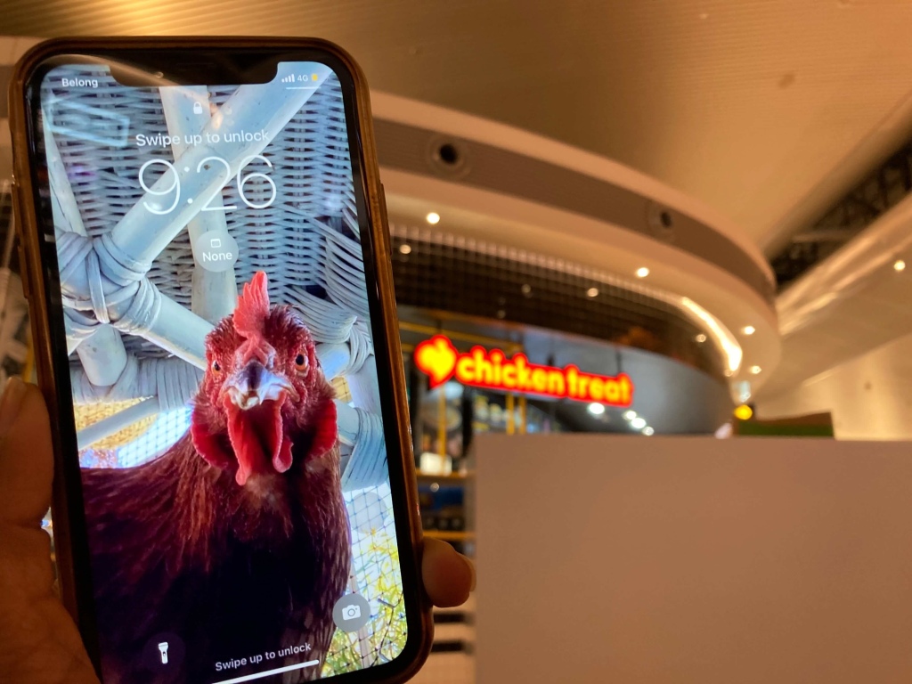 Photo of a red chicken as an iPhone screensaver in the foreground with the name board of a shop called “chicken treat” in the background. 